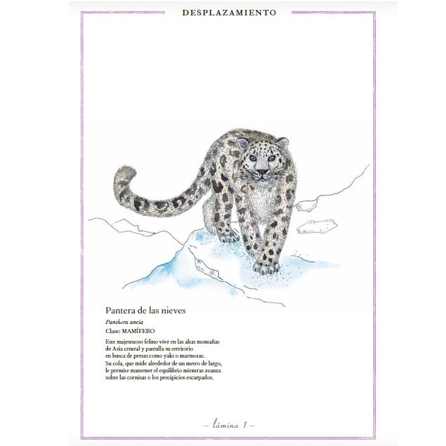 Inventario Ilustrado de Animales con cola Inventario Ilustrado de Animales con cola